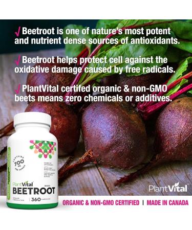 PlantVital Organic Beet Root Capsules - 1400mg per dose Beet Root Powder Beet Root Supplement Antioxidant Supplement - Protects Against Oxidative Damage and Free Radicals - 360 Vegan Capsules 6-Month Supply 360 count (Pack of 1) - Buy Online on GoSupps.com
