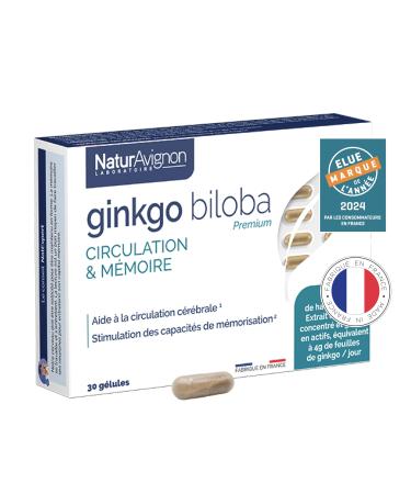 NaturAvignon Ginkgo Biloba Laboratory | Food Supplement Memory Booster Concentration & Blood Circulation | Concentrated Formula with Vitamin B5 | 1 Capsule/Day | Made in France