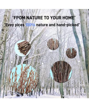 100% Natural Birch Branches for DIY Crafts and Home Decor - 200pcs (17inch) - Buy Online on GoSupps.com