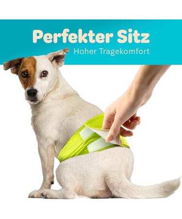Dog is K nig Male Dog Diapers 3 Pcs - Comfortable Washable & Eco-Friendly Incontinence Solution | Suction-Strong XL (59-65cm) | Easy to Clean Black Blue Green - Buy Online on GoSupps.com