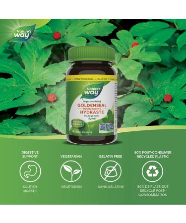 Nature's Way Goldenseal Root Relieve digestive upset - Aid Digestion Mild Laxative - Non-GMO - 100 Vegetarian Capsules Value Size Natural 100 count (Pack of 1) - Buy Online on GoSupps.com