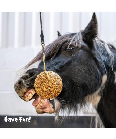 Likit Granola Stall-Ball Horse Treats 1.6kg | Apple Mixed Berry Peppermint Molasses Flavors | Long Lasting - Buy Online on GoSupps.com