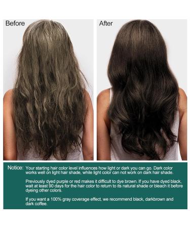 Buy Hair Dye Shampoo 16.9 Fl Oz - Dark Brown Tea Tree Color Shampoo for Men & Women | Safe & Professional 3-in-1 Hair Color Solution - Buy Online on GoSupps.com