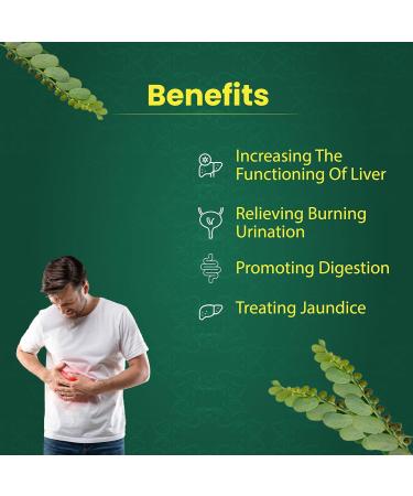 Organic Bhumi Amla Powder - Rich in Antioxidant Vitamin C - Supports Healthy Immune Function 100Gm (Pack of 1) 3.53 Ounce (Pack of 1) - Buy Online on GoSupps.com