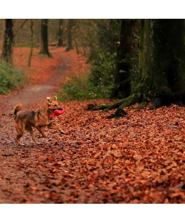 Liono Durable Dog Feed Bag - Water-Repellent Snack Bag with Zipper & Velcro | 18x7x7 cm | Red with Custom Name Print | Perfect for Treats & Travel - Buy Online on GoSupps.com