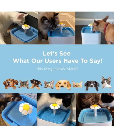 Ciays Cat Water Fountain 2.5L - 3 Filters - Blue | Automatic Pet Drinking Fountain - Dogs, Cats, Multiple Pets - Buy Online on GoSupps.com