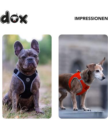 DDOXX Air Mesh Breast Harness - Reflective Step-In for Small to Medium Dogs | Multiple Colors | Fits Chest 38-43 cm - Buy Online on GoSupps.com