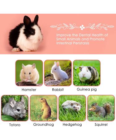 ERKOON Organic Apple Sticks 300g/500g Molar Treats for Small Animals - Hamster, Rabbit, Guinea Pig, Chinchilla, Squirrel - Chew Toys - Natural Apple Branch - 10.5 Ounce (Pack of 1) - Buy Online on GoSupps.com