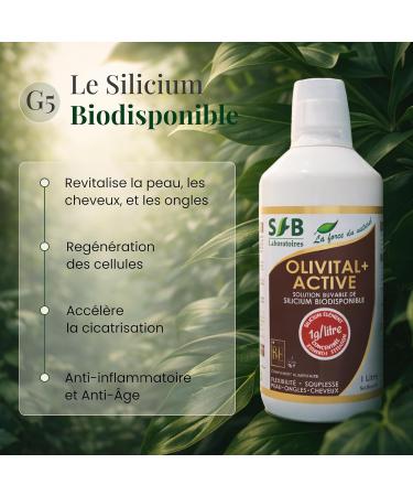 SFBLaboratoires Silicium l ment Hautement Biodisponible Olivital + ACTIV 1L | Ar mes Cassis Solution buvable - Articulations Peau Cheveux Ongles Tissus Conjonctifs Fabriqu en France - Buy Online on GoSupps.com