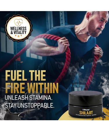 Lifecykel Pure Shilajit Resin 15g | Wild-Harvested Mineral-Rich Shilajit Supplement for Strength | Third-Party Tested Premium Quality | Natural Flavouring - Buy Online on GoSupps.com