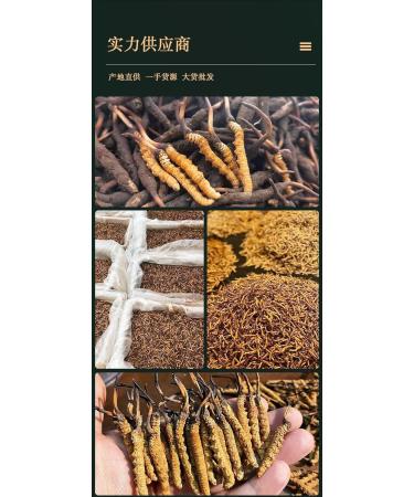 Akersunder Genuine Dried Cordyceps sinensis/winterworm summerherb Ophiocordyceps sinensis naqu cordyceps 1g. (Broken Grass with Tail) - Buy Online on GoSupps.com