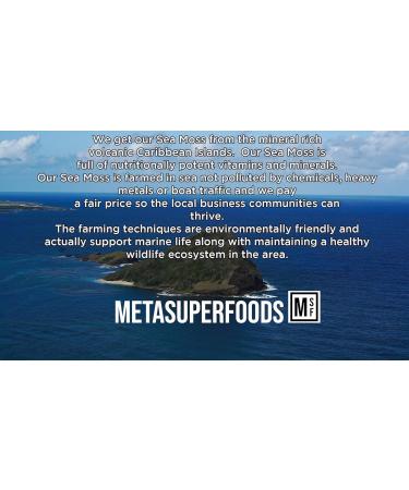 Sea Moss and Bladderwrack 60 Capsules (3600mg) High Potency - Vegan, UK Made, Wild Harvested | Non GMO, No Fillers - Buy Online on GoSupps.com