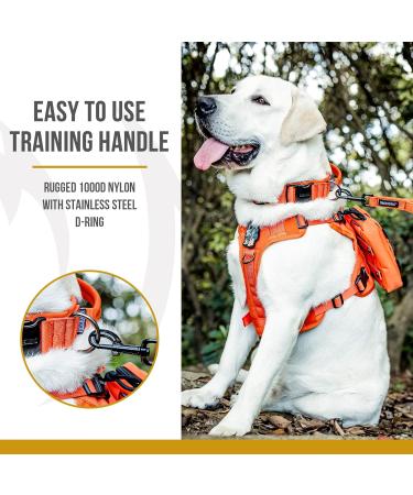 OneTigris Dog Collar with Metal Buckle - Durable L Orange Collar for Dogs | International Shipping - Buy Online on GoSupps.com