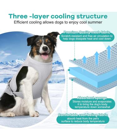 Bamda Dog Cooling Vest 2023 Upgraded Harness Cooler Jacket | Adjustable Titanium D-rings | Breathable Lightweight Cool Pet Vest for Small Large Dogs (Blue M) - Buy Online on GoSupps.com