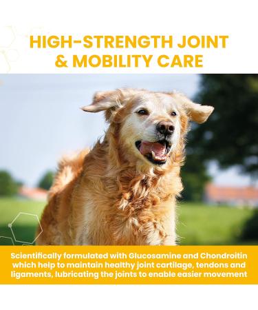 Vetzyme High Strength Flexible Joint Supplements for Senior Dogs (90 Tablets) - Hip and Joint Care with Chondroitin and Glucosamine Tasty Chicken Flavour 90 Count (Pack of 1) - Buy Online on GoSupps.com