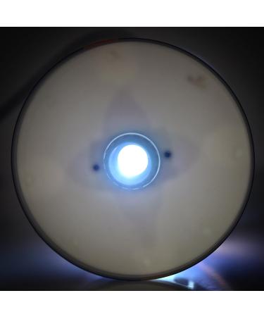 FOCO NBA Player Desk Lamp Cleveland Cavaliers LeBron James One Size Team Color - Buy Online on GoSupps.com