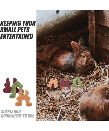 Kisangel Chinchilla Food Bunny Treat Fiber Chinchilla Treats Bunny Accessories - Buy Online on GoSupps.com