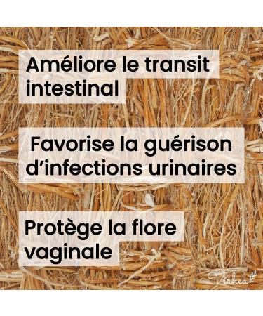 Racine de Vetiver - Khamar - Gongoli (100g) - 20 Tiges de Vetiver pour Infusion - 100% Naturel - Buy Online on GoSupps.com