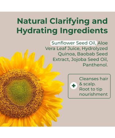 BORN Naturals Shampoo and Conditioner Set for Dry Frizzy Hair - Cleanse & Hydrate Mild Scent Natural Ingredients for Soft Smooth Hair - Suitable for All Hair Types 240 ml Shampoo & Conditioner Set - Buy Online on GoSupps.com