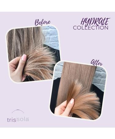 Trissola Hydrate Shampoo & Conditioner Duo - Moisturizing Color-Safe Hair Care Set (16.7 oz) - International Shipping Available - Buy Online on GoSupps.com