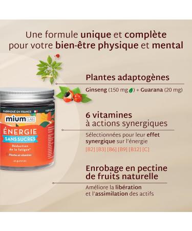 Mium Lab - Energy: Boost Boost & Reduction of Physical & Mental Fatigue - Adaptogenic Plants (Guarana & Ginseng) Caffeine Naturally Present and Vit C - Cure 21 Days - Made in France - Buy Online on GoSupps.com