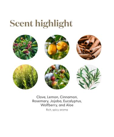Buy Young Living Thieves Cleansing Soap - Natural Botanicals & Essential Oil Blend - 3.5 oz - International Shipping Available - Buy Online on GoSupps.com