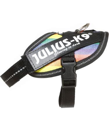 Buy IDC Powerharness 2XS/Baby 2 in Rainbow Faux Leather - International Shipping Available - Buy Online on GoSupps.com