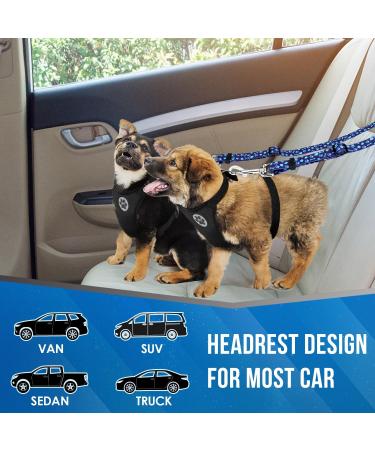 Slowton Double Dog Safety Belt - Dual-Pet Car Head Support for Small & Medium Dogs | Elastic Strap No Cable Blue | Ideal for Safe Vehicle Travel - Buy Online on GoSupps.com