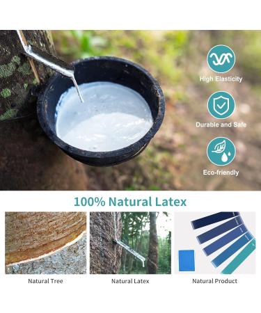 Resistance Bands 5 Pcs Natural Latex Exercise Bands Workout Bands with 5 Resistance Levels for Workouts Pilates Physiotherapy Stretching Yoga Home Gym - Carry Bag Included Blue - Buy Online on GoSupps.com