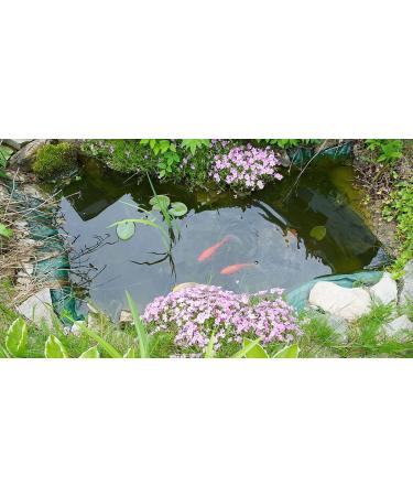 Barley Straw Extract Pond Treatment Natural Safe Clean Water 500ml - Buy Online on GoSupps.com