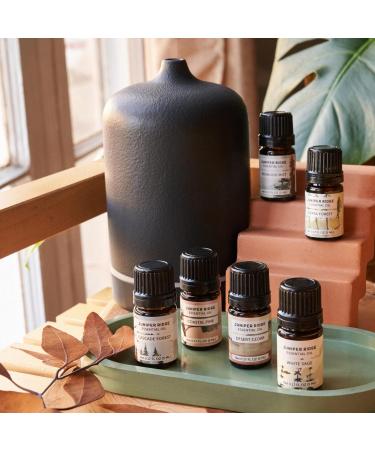 Juniper Ridge Redwood Mist Essential Oil - Refreshing Fragrance with Redwood Needles Fir & Bay Laurel Notes - 5ml - Packaging May Vary - Buy Online on GoSupps.com