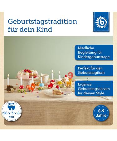 Bieco Wooden Birthday Train - Forest Animals with Numbers 0-9 | 17 Pieces 59 cm | Perfect Candle Train for Children's Birthdays - Buy Online on GoSupps.com