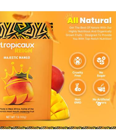 Organic Dried Mango Slices 16oz - No Sugar Added, All-Natural, Non-GMO | Tropicaux Reign - Preservative-Free Nutritious Snack - Buy Online on GoSupps.com