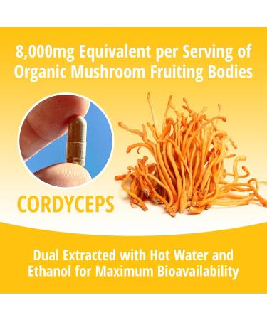 ENCAPSULATE Cordyceps Capsules 8:1 Extract Premium Organic Fruiting Body 8:1 Mushroom Extract Adaptogen Mushroom Supplement for Performance Energy Stamina & Immune Support 60 Vegan Capsules - Buy Online on GoSupps.com