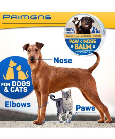 Natural Dog Paw Balm 0.5 oz - Paw Protection for Hot Pavement, Dry Paws, & Cracked Paws - Moisturizer for Cats & Dogs - Paw Protectors & Pad Lotion - Buy Online on GoSupps.com