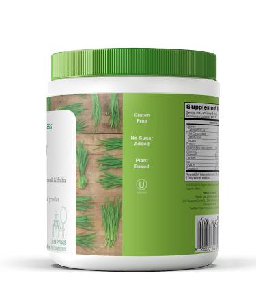Organic Amazing Grass Trio: Barley, Wheat & Alfalfa Powder â€“ 8.5 oz (240g) for Optimal Nutrition - Buy Online on GoSupps.com