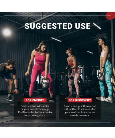 Grass Fed Whey Protein Shake - 19g Protein BCAAs Natural Vanilla Meal Replacement & Post Workout Recovery (12 Oz - Buy Online on GoSupps.com