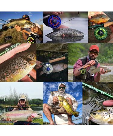 Maximcatch Premier Fly Rod & Avid Roll Combo - Complete 9' Fly Fishing Outfit with 6 WT 5/6 Fly Reel & Equipment - International Shipping Available - Buy Online on GoSupps.com
