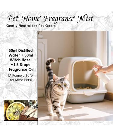 HIQILI 100ML Lemongrass Essential Oil & 30ML Shadow Glass Fragrance Oil for DIY Diffuser - Buy Online on GoSupps.com