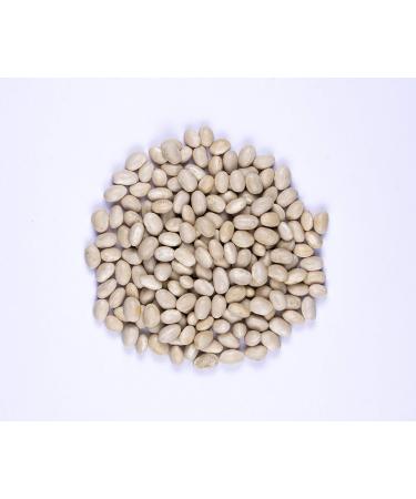 Thompson's White Pea Beans 12 unit Case 907 g (Pack of 12) - Buy Online on GoSupps.com