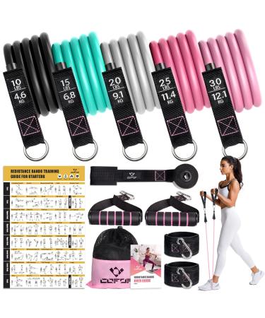 Resistance Bands with Handles for Women, 5 Level Exercise Bands Workout Bands (10-100LBS) for Physical Therapy, Yoga, Pilates, Door Anchor, Storage Pouch (Pink)