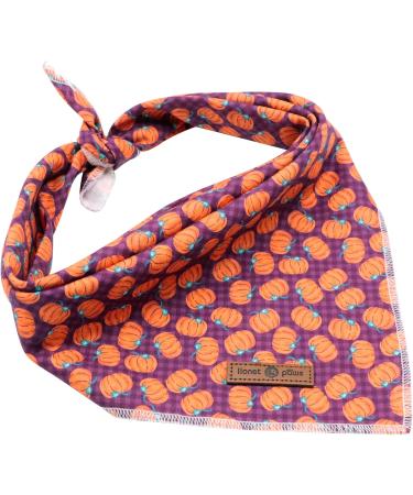 Lionet Paws Halloween Dog Bandana - Triangular Scarf for Small Medium & Large Dogs - Pumpkin Design (Pack of 1) - Buy Online on GoSupps.com