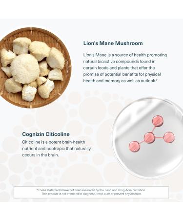 Youtheory Lion's Mane Plus - Mushroom Supplement with Cognizin - Offers Focus & Brain Support* - 60 Vegetarian Capsules 60 Count (Pack of 1) - Buy Online on GoSupps.com