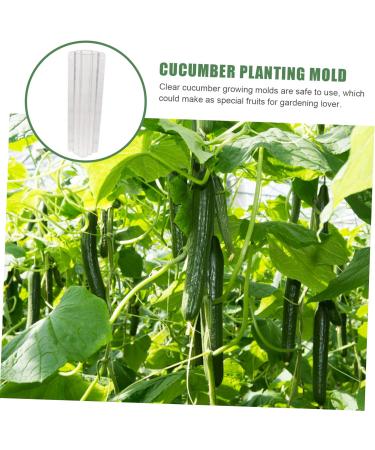 Toddmomy Garden Fruit Mould 8 Pcs Vegetable Shaping Mold Cucumbers Fruit Mold Fruit and Vegetable Suite Gourd - Buy Online on GoSupps.com