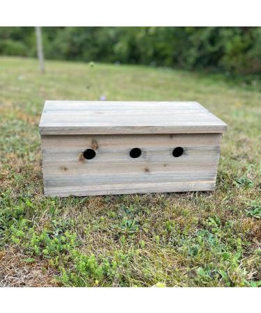 Selections Sparrow Colony Wooden Nesting Box Terrace - Buy Online on GoSupps.com