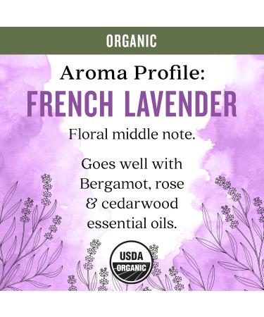 Aura Cacia Organic French Lavender Pure Essential Oil, Vegan, Cruelty Free, 0.25 Fluid Ounces (Pack of 1) - Buy Online on GoSupps.com