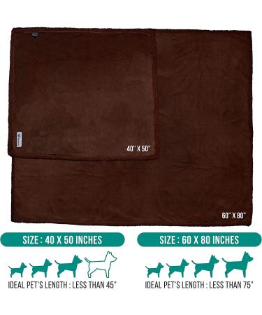 PetAmi Puppy Dog Blanket Small Indoor Cat Kitten | Fleece Sherpa Throw | Soft Plush Fluffy Lightweight Warm Cover 29x40 Inch - Brown/Brown Sherpa - Buy Online on GoSupps.com