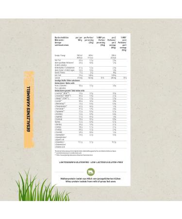 Energybody Nature Whey Protein Isolate & Concentrate 600g - Sugar & Fat Reduced All-Natural Protein Powder Shake (Salted Caramel) - Buy Online on GoSupps.com