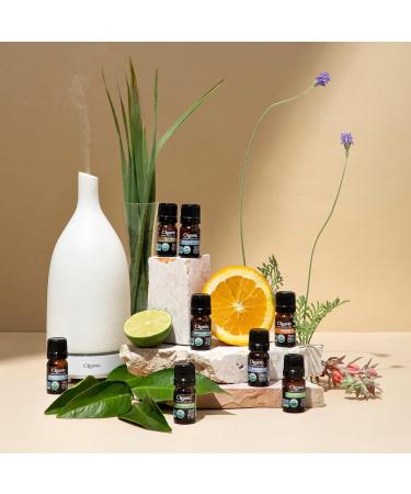 Cliganic Organic Sweet Orange Essential Oil, 4oz - 100% Pure Natural for Aromatherapy Diffuser | Non-GMO Verified - Buy Online on GoSupps.com