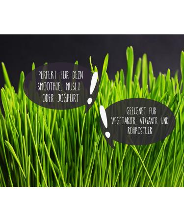 Organic Wheatgrass Powder (500g) - Premium Raw Food Quality from German Cultivation | Achterhof - Buy Online on GoSupps.com
